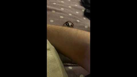 ernieflossy @ bongacams on 20241106