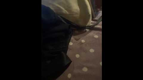 ernieflossy @ bongacams on 20241106