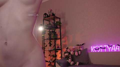 kottyaaaa @ bongacams on 20241106