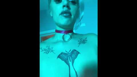 lateloverrr @ bongacams on 20241106