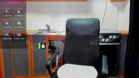 missfentasy1 @ bongacams on 20241106