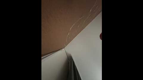 vagnermur @ bongacams on 20241106