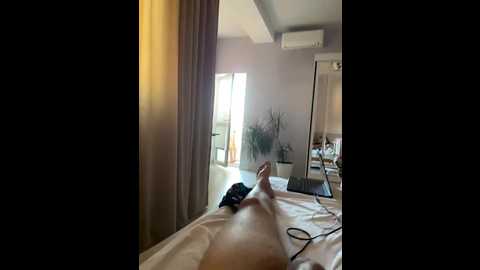 lateloverrr @ bongacams on 20241107