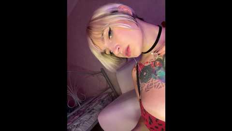 absinthegirl @ bongacams on 20241108