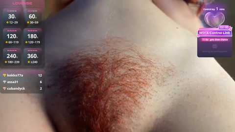 bustytube @ bongacams on 20241109