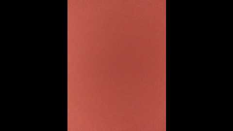 johnyfenomet2 @ bongacams on 20241109