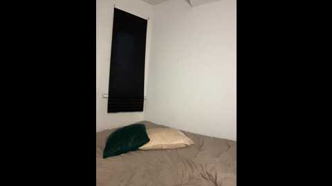 maribett @ bongacams on 20241109