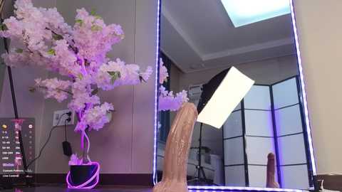 marry_cordy @ bongacams on 20241109