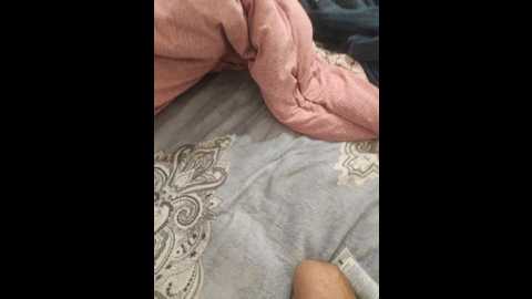 moy_moya @ bongacams on 20241109