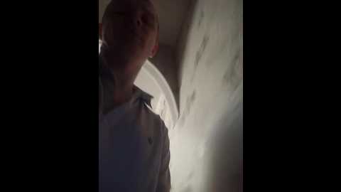 niki233221 @ bongacams on 20241110