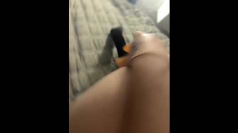 weerr_1