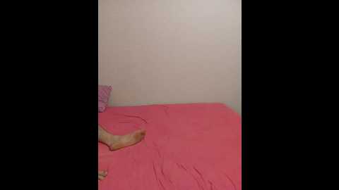 _ameli__ @ bongacams on 20241113