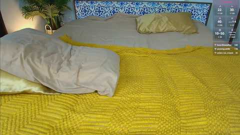 pinkie_pie @ bongacams on 20241113