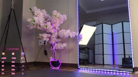 marry_cordy @ bongacams on 20241114