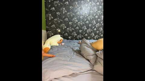 olivkavif @ bongacams on 20241114
