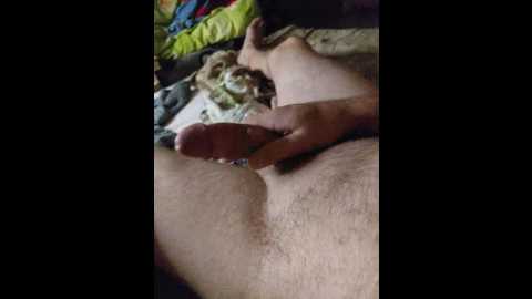 oksy3 @ bongacams on 20241116