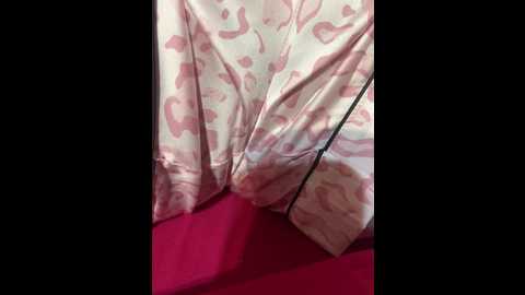 dream9971 @ bongacams on 20241117