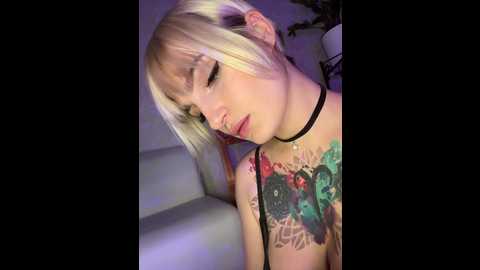 absinthegirl @ bongacams on 20241118