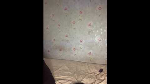 alyavass1 @ bongacams on 20241118