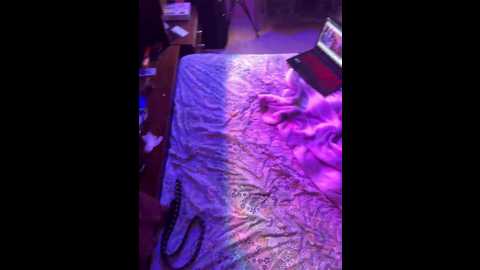 lateloverrr @ bongacams on 20241118