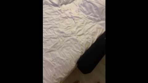 posledni1geroi1 @ bongacams on 20241118