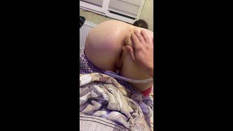 tarantin00 @ bongacams on 20241118