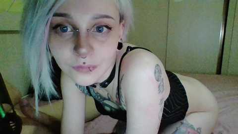 ashy_slashy @ bongacams on 20241119