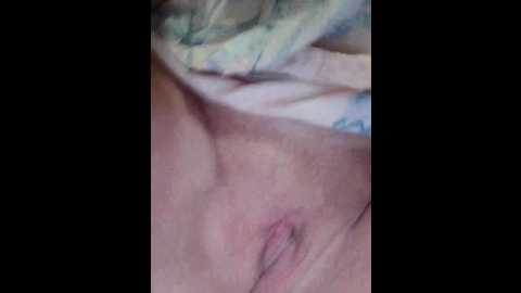auka4 @ bongacams on 20241119