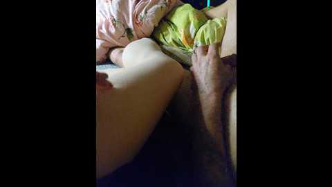 oksy3 @ bongacams on 20241119