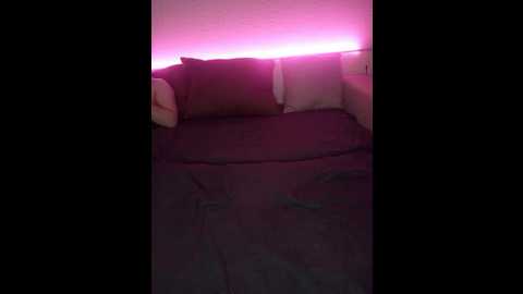 plohishi2 @ bongacams on 20241119