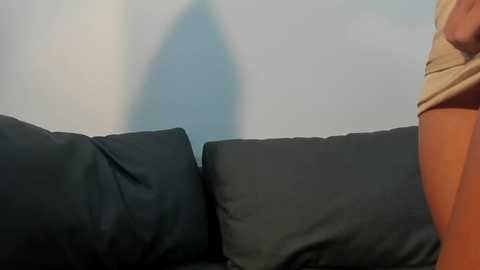 joao_erik