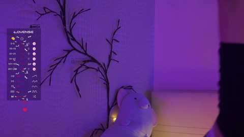 mispopi @ bongacams on 20241121