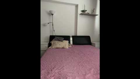 afinab @ bongacams on 20241122