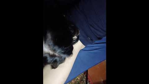 alisha_x @ bongacams on 20241122