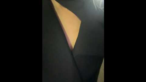 monikayyy @ bongacams on 20241122