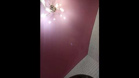 niki233221 @ bongacams on 20241122