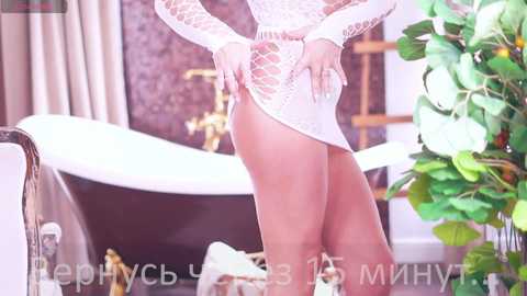 stella888 @ bongacams on 20241122