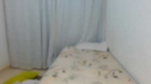 willbrock @ bongacams on 20241122