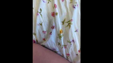 lovelus @ bongacams on 20241123