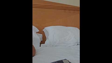 mr_and_mrs_smith_xxl @ bongacams on 20241123