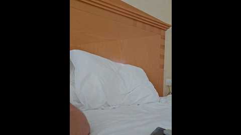 mr_and_mrs_smith_xxl @ bongacams on 20241123