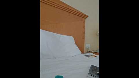 mr_and_mrs_smith_xxl @ bongacams on 20241123
