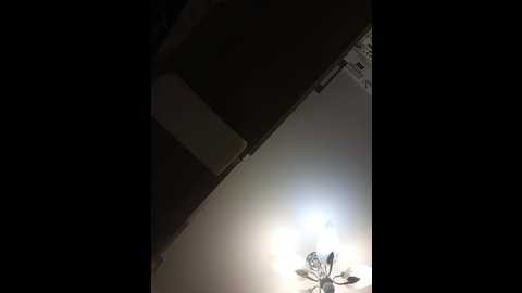 niki233221 @ bongacams on 20241123