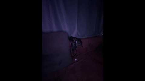 yanrom26dwm @ bongacams on 20241123