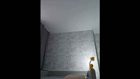 charlizetheron @ bongacams on 20241126