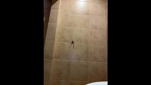 tokionajoe @ bongacams on 20241126