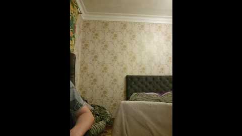 axel_20x @ bongacams on 20241128