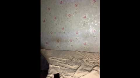 alyavass1 @ bongacams on 20241129