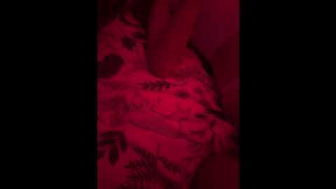 carolina_dimonpro @ bongacams on 20241129