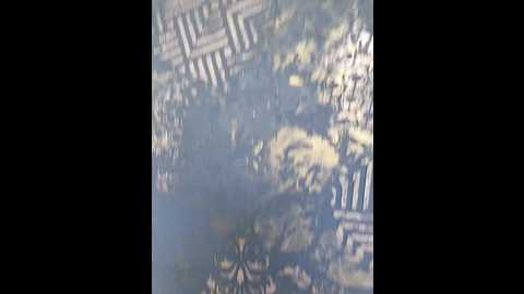 crazypussy07 @ bongacams on 20241129